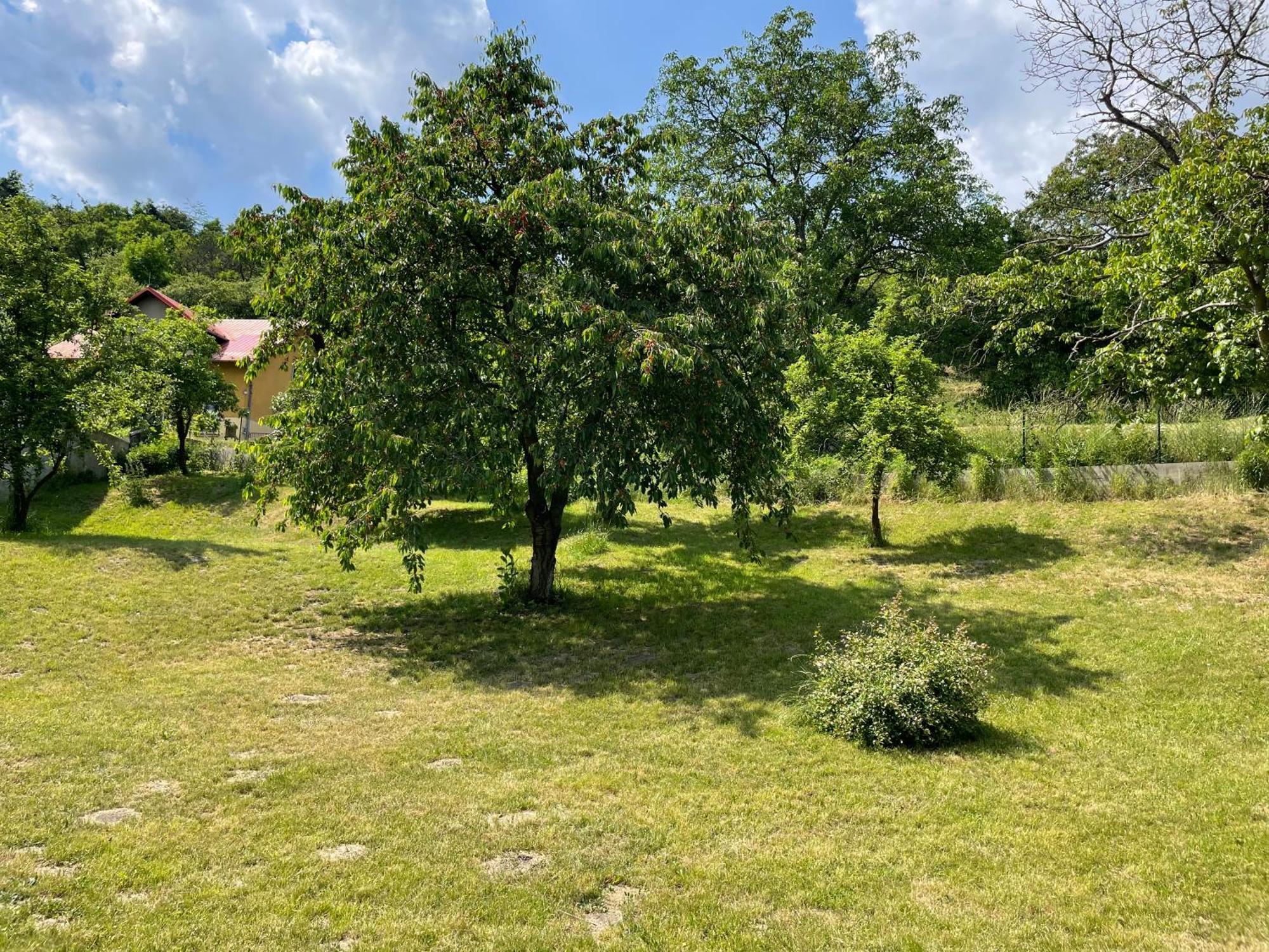 Penzion Villa Amelie Mladá Boleslav Dış mekan fotoğraf